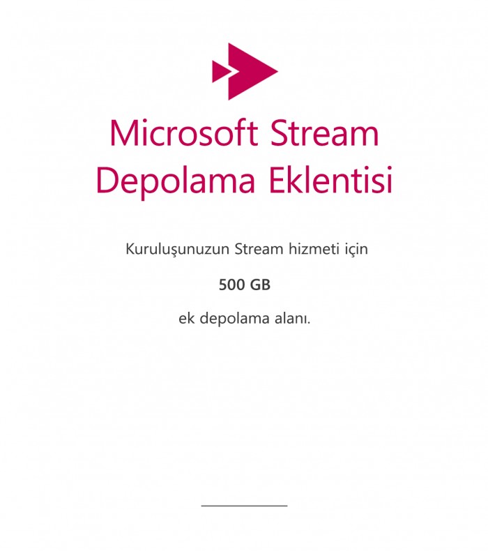 Microsoft Stream Depolama Eklentisi - 500 GB