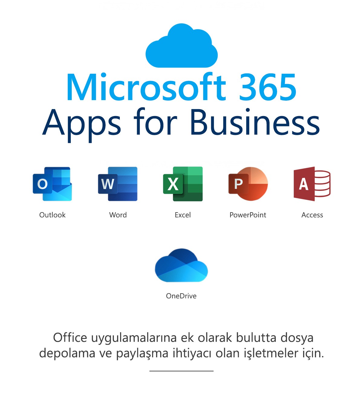 Microsoft 365 Uygulamaları (İşletmeler için)