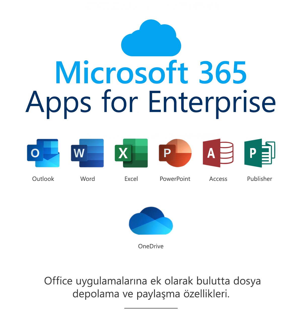 Microsoft 365 Uygulamaları (Kurumlar için)