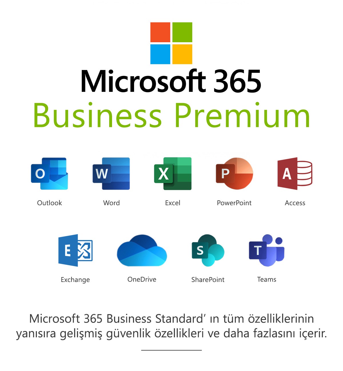 Microsoft 365 İş Ekstra