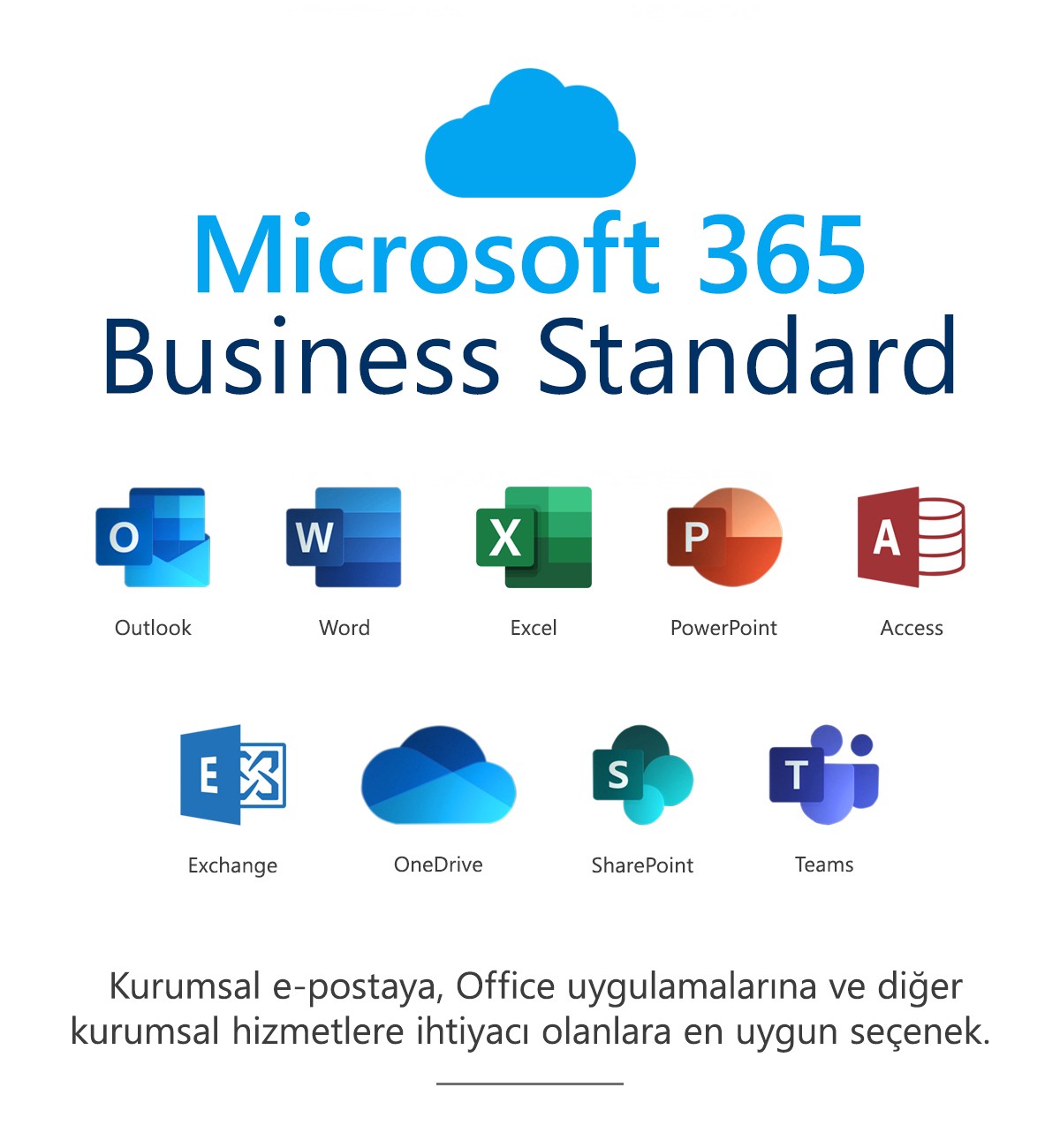 Microsoft 365 İş Standart