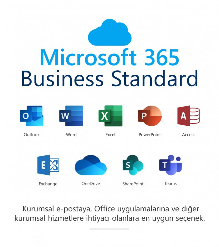 Microsoft 365 İş Standart