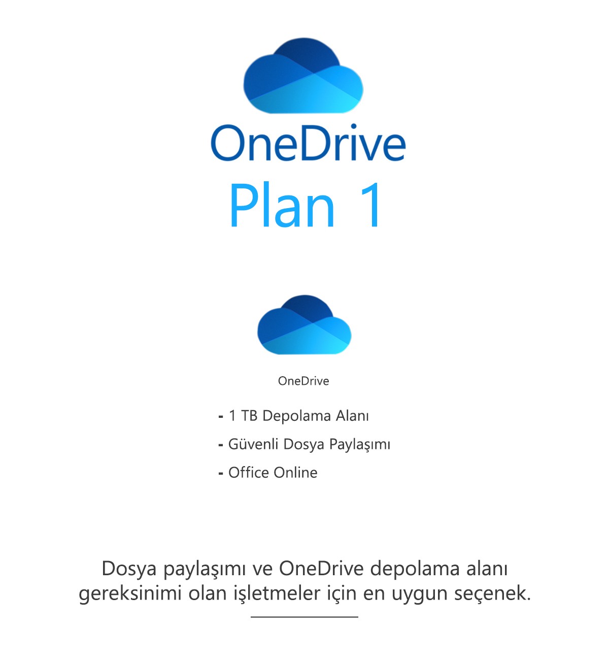 OneDrive Plan 1