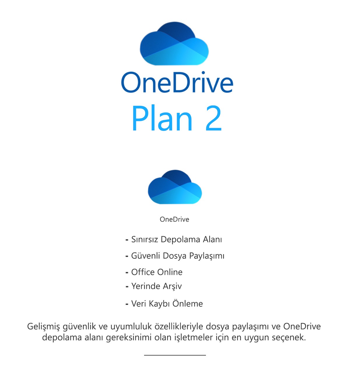 OneDrive Plan 2