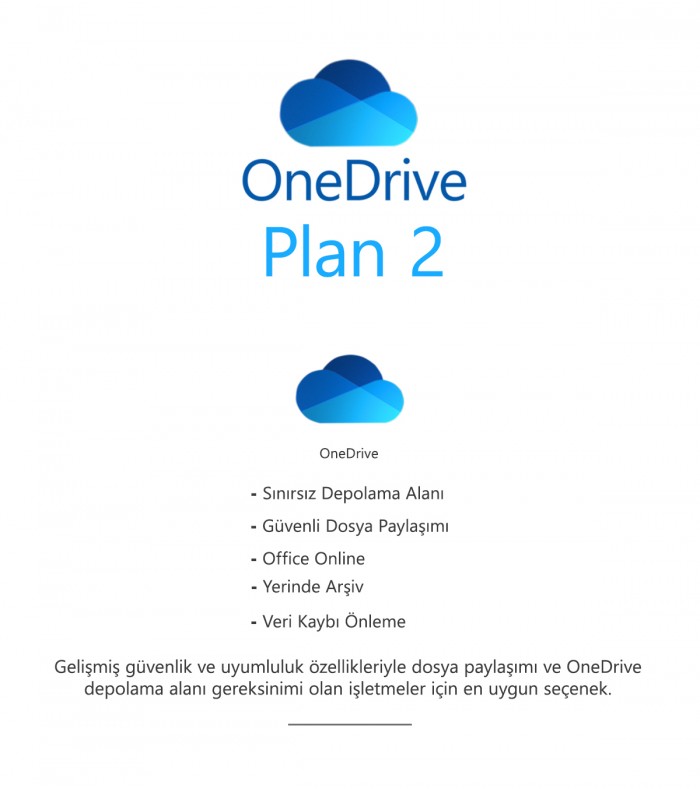 OneDrive Plan 2