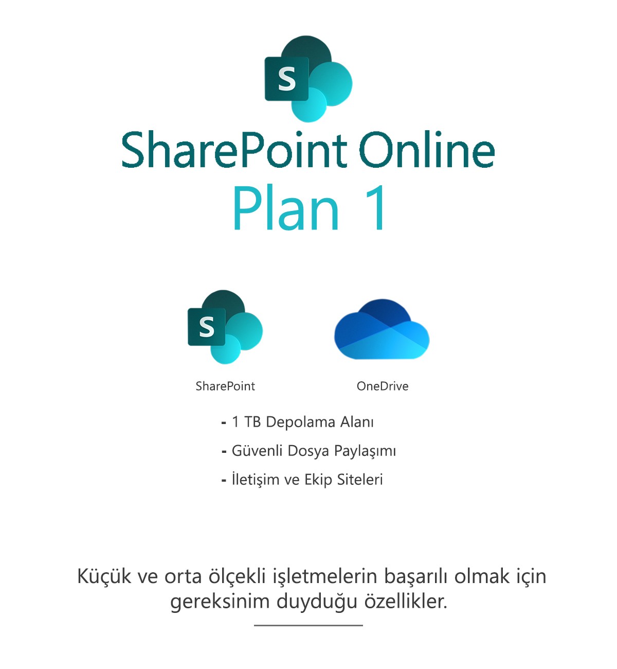 SharePoint Online Plan 1