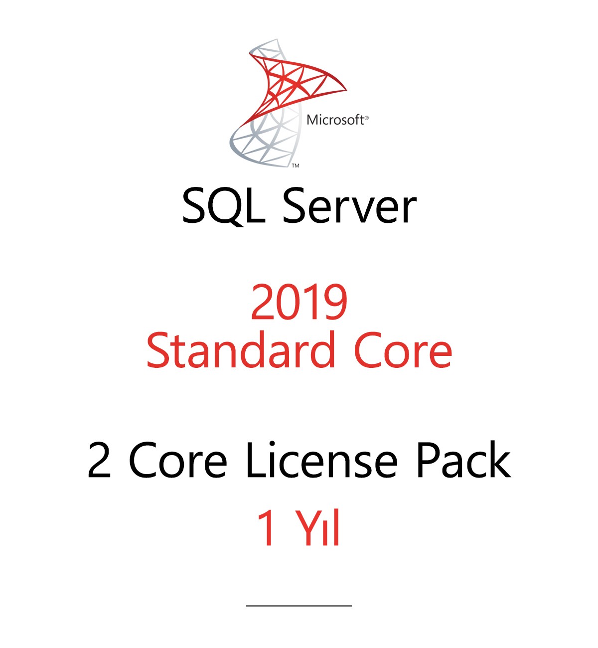 SQL Server Standard 2 Core License Pack 1 year