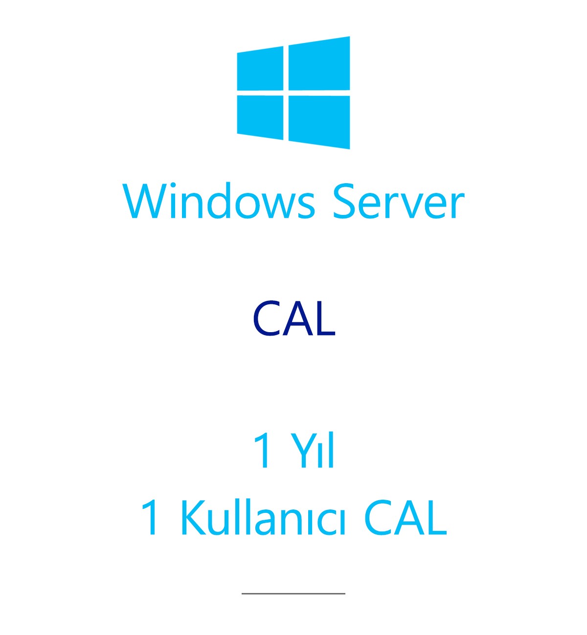Windows Server  CAL 1 Year - 1 User CAL