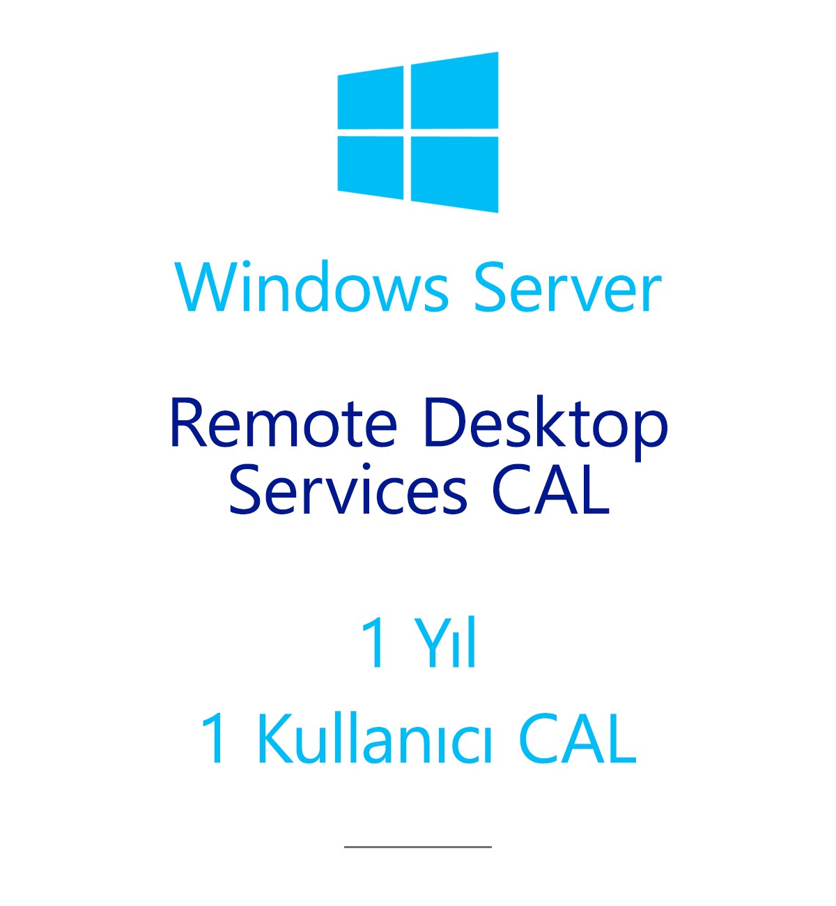 Windows Server Remote Desktop Services CAL 1 Year - 1 User CAL